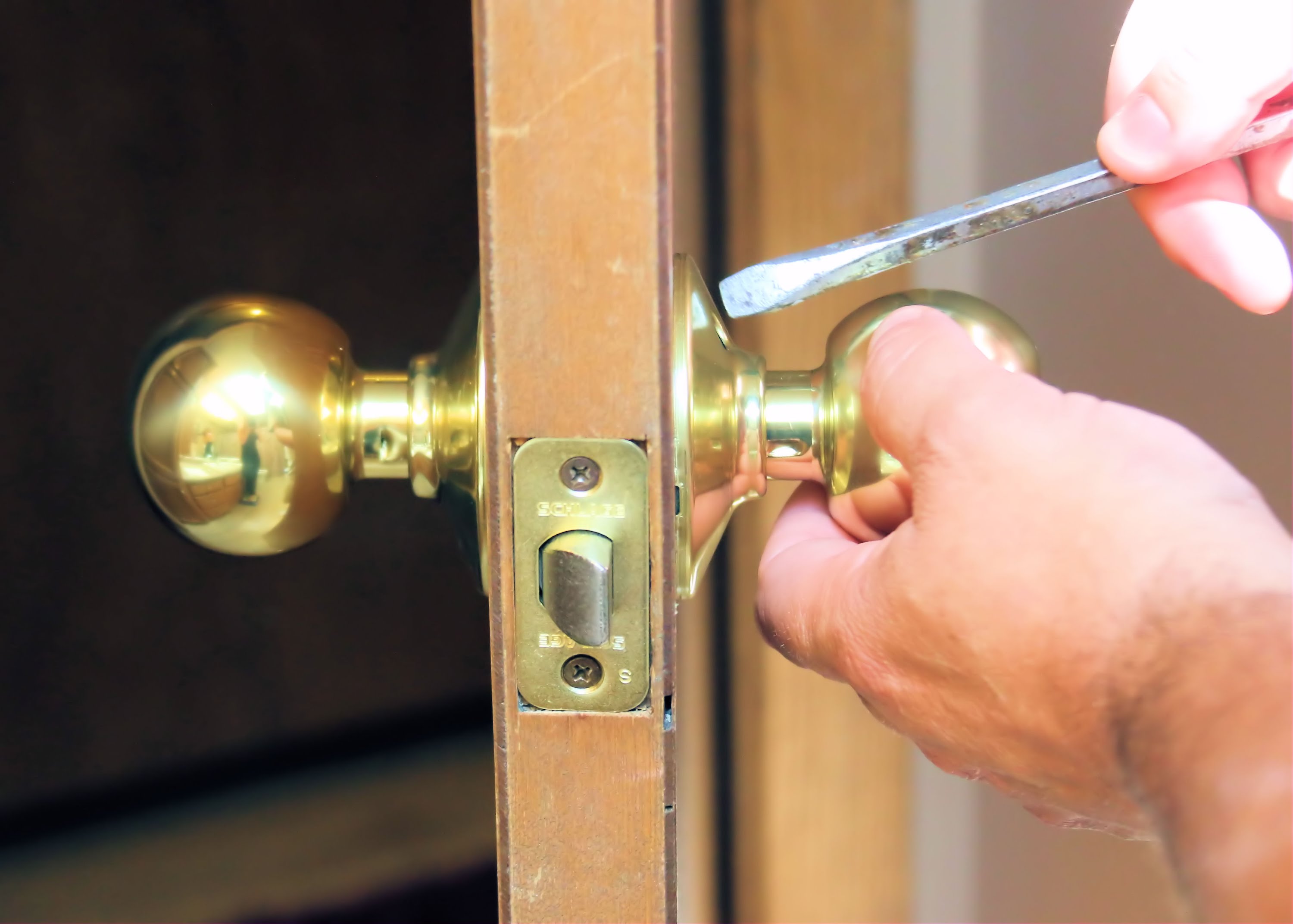 Door Knob Screws Door Knobs