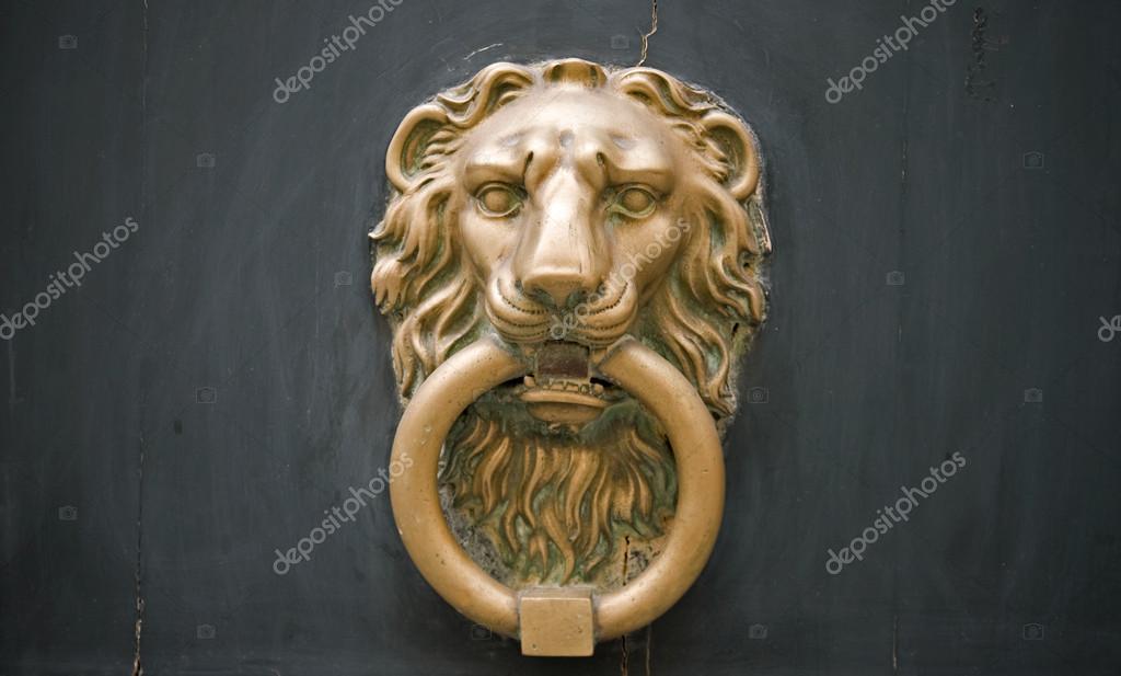lion head door knob photo - 18