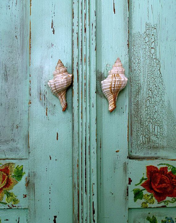seashell door knobs photo - 16