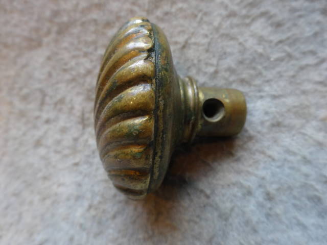 shell door knobs photo - 4